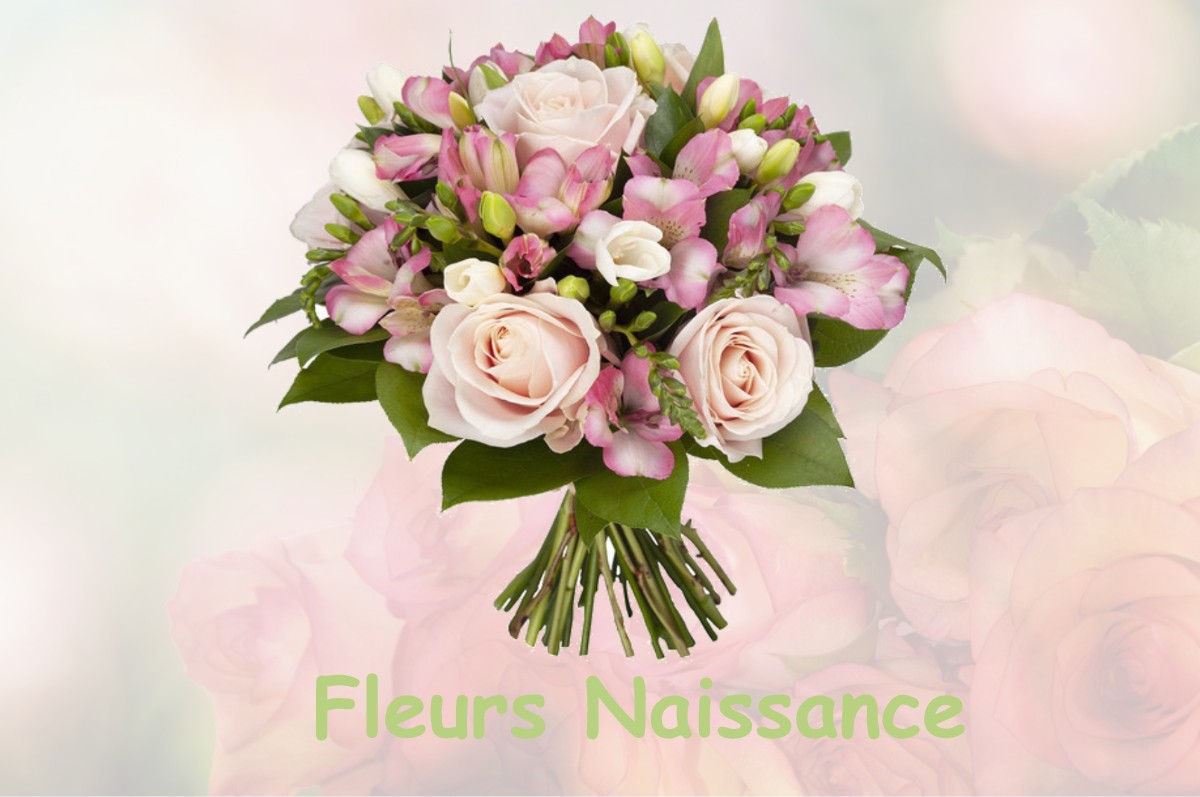 fleurs naissance HONTANX