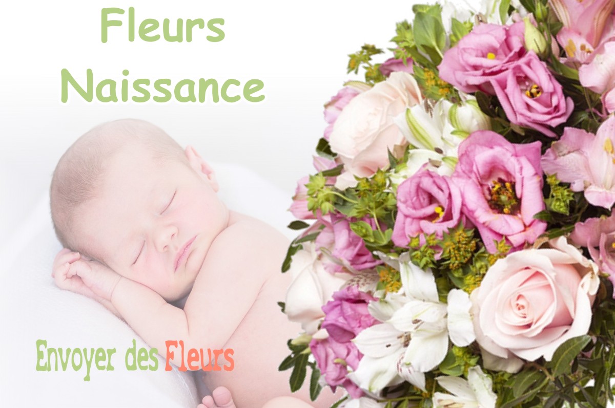 lIVRAISON FLEURS NAISSANCE à HONTANX